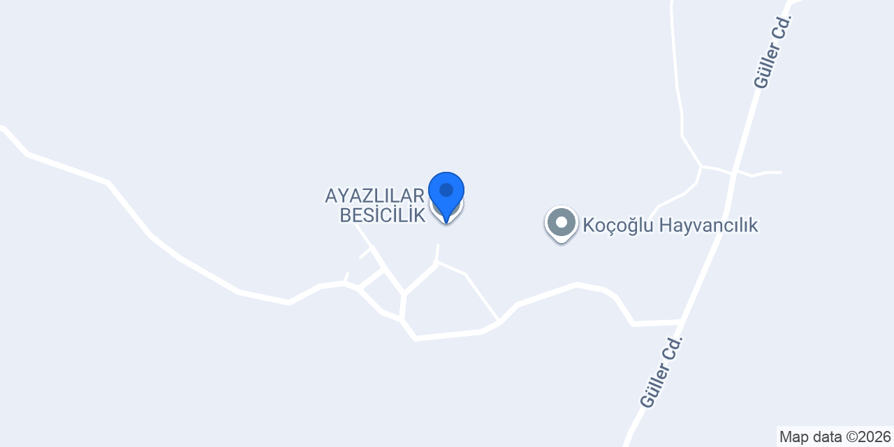AYAZLILAR BESİCİLİK konumu