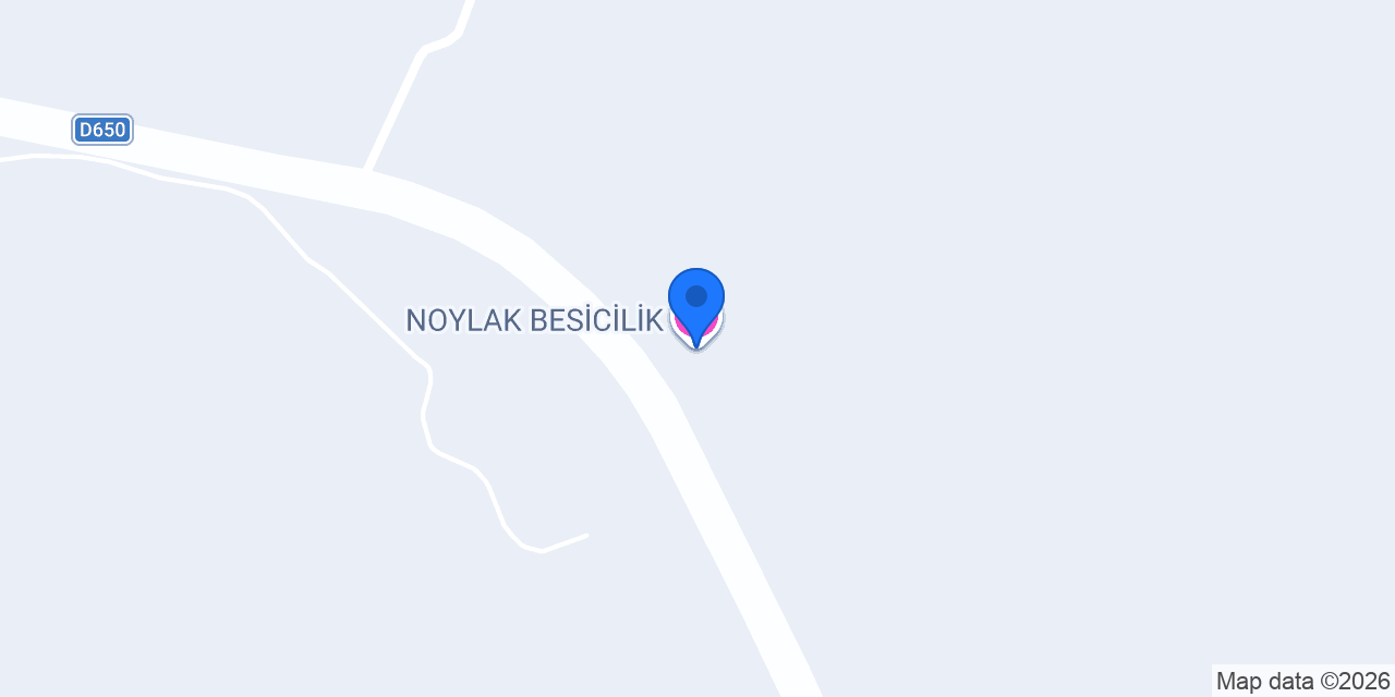 NOYLAK BESİCİLİK konumu