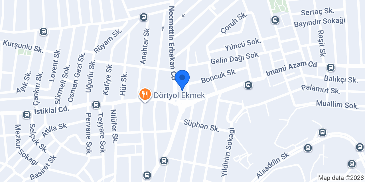 Pendik Fen Bilimleri konumu