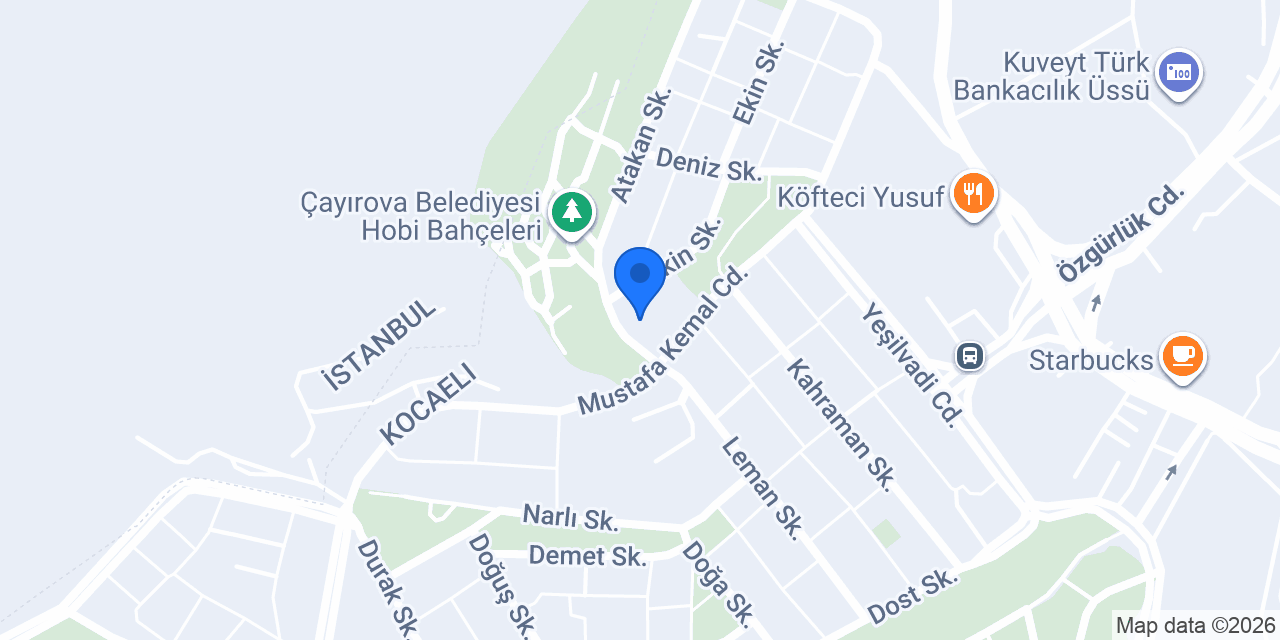 ALYA GRUP TAŞIMACILIK konumu