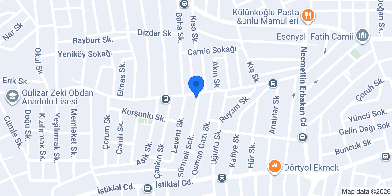 TEMA PSİKOLOJİ konumu