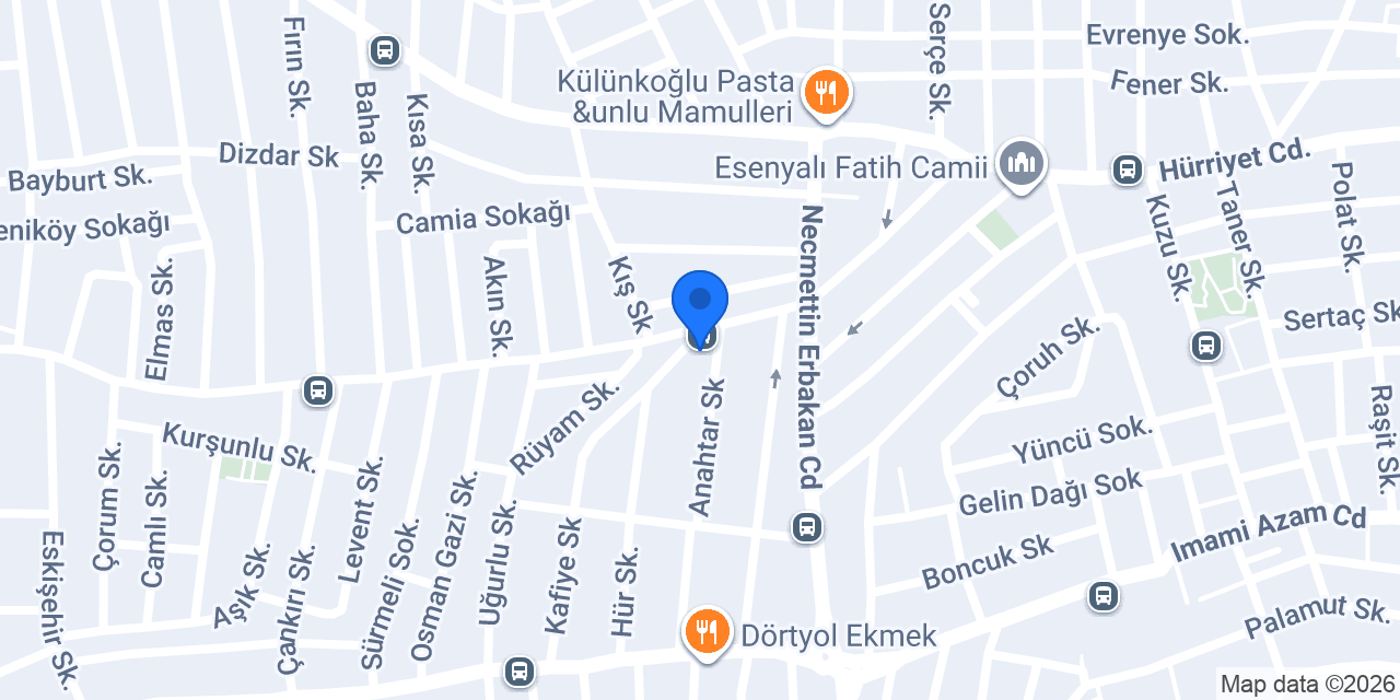 Özel Pendik Yaşlı Bakım Merkezi konumu