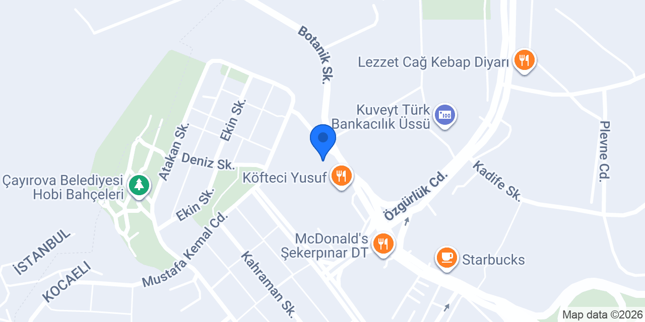 Organize Vinç konumu