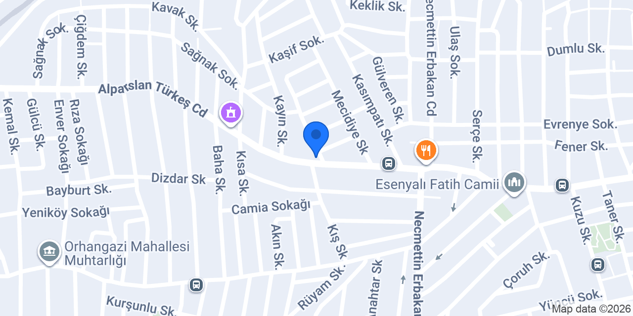 Terzi hami konumu
