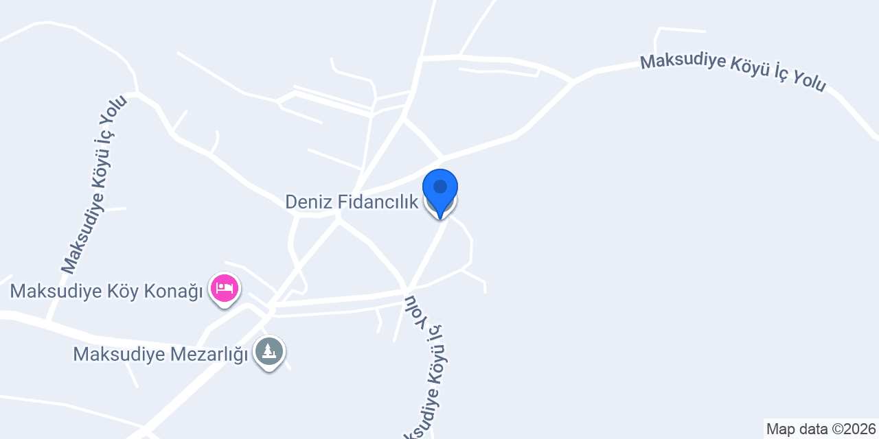 Deniz Fidancılık konumu