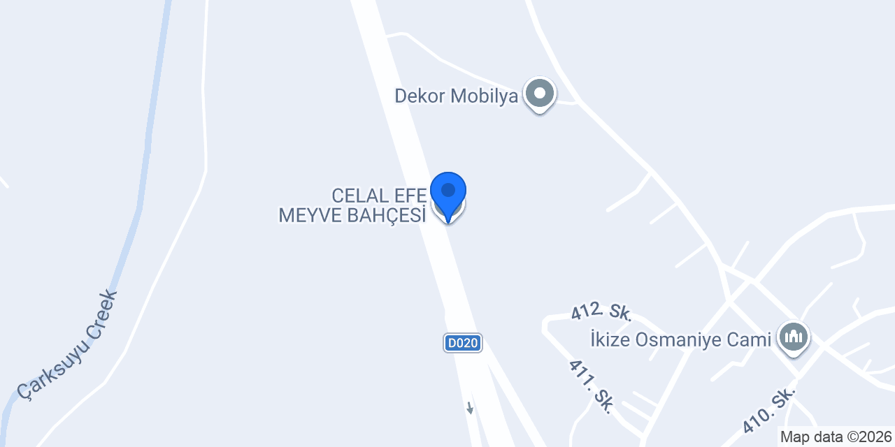 CELAL EFE MEYVE BAHÇESİ konumu