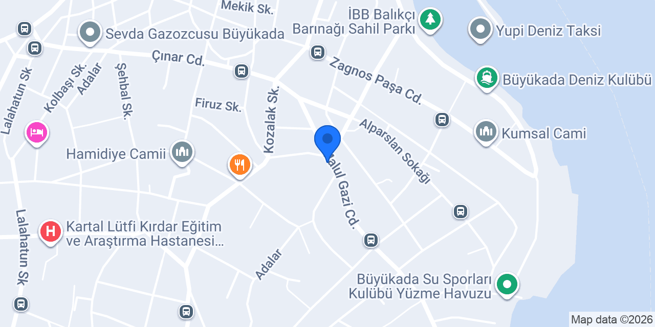 PALM VİLLA konumu