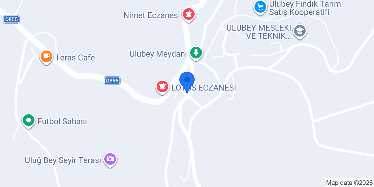 Arifoğlu Ticaret konumu