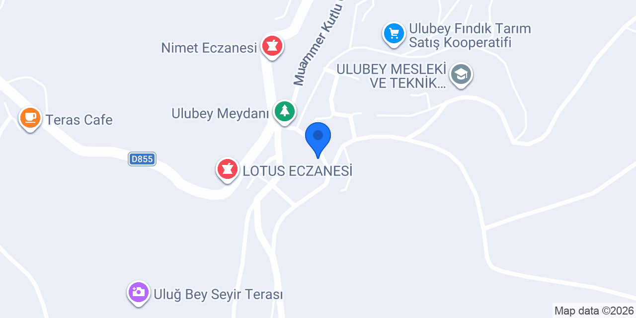 Seran organizasyon konumu