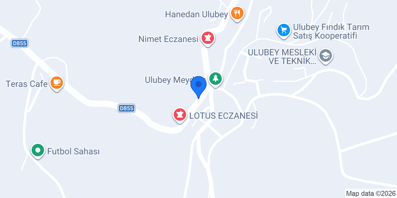 Özdemir Elektrik konumu
