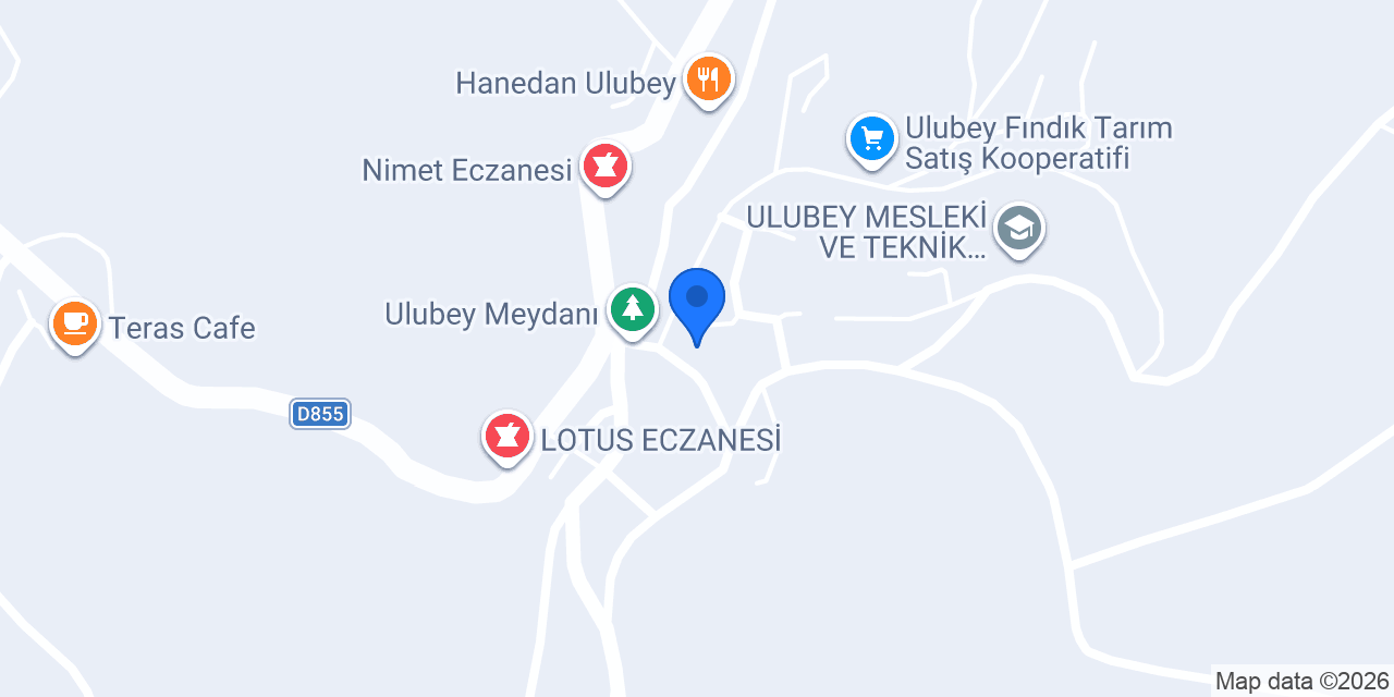 Esen Ticaret konumu