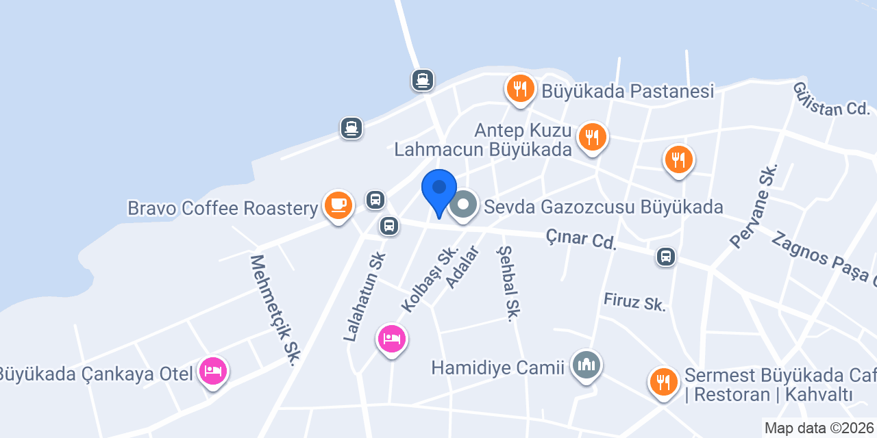 Adalar Veteriner Kliniği konumu
