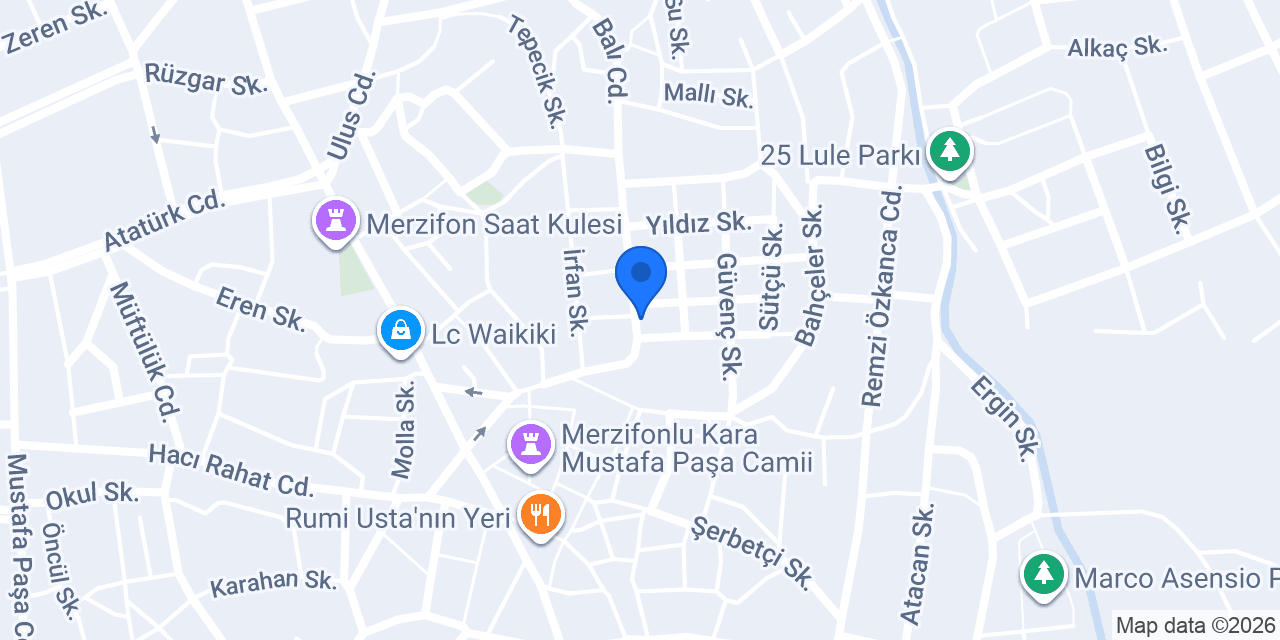 Mir Elektronik konumu