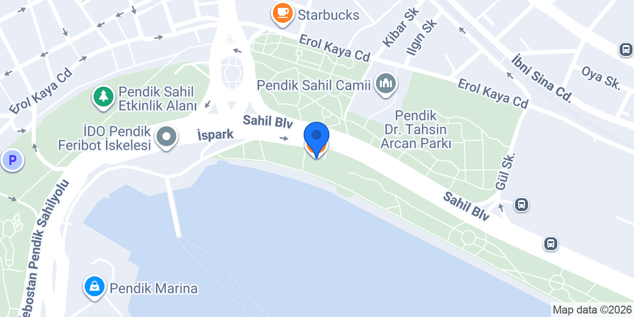 Dersaadet balık pendik konumu
