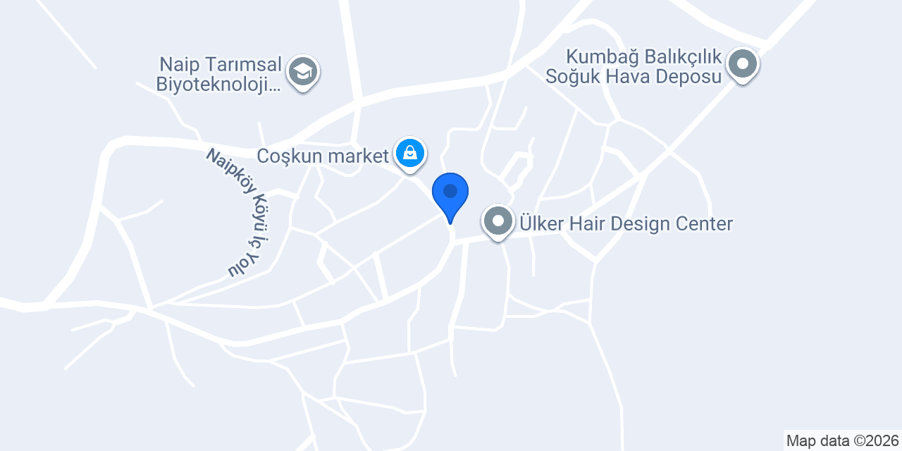 Naip İlköğretim Okulu konumu