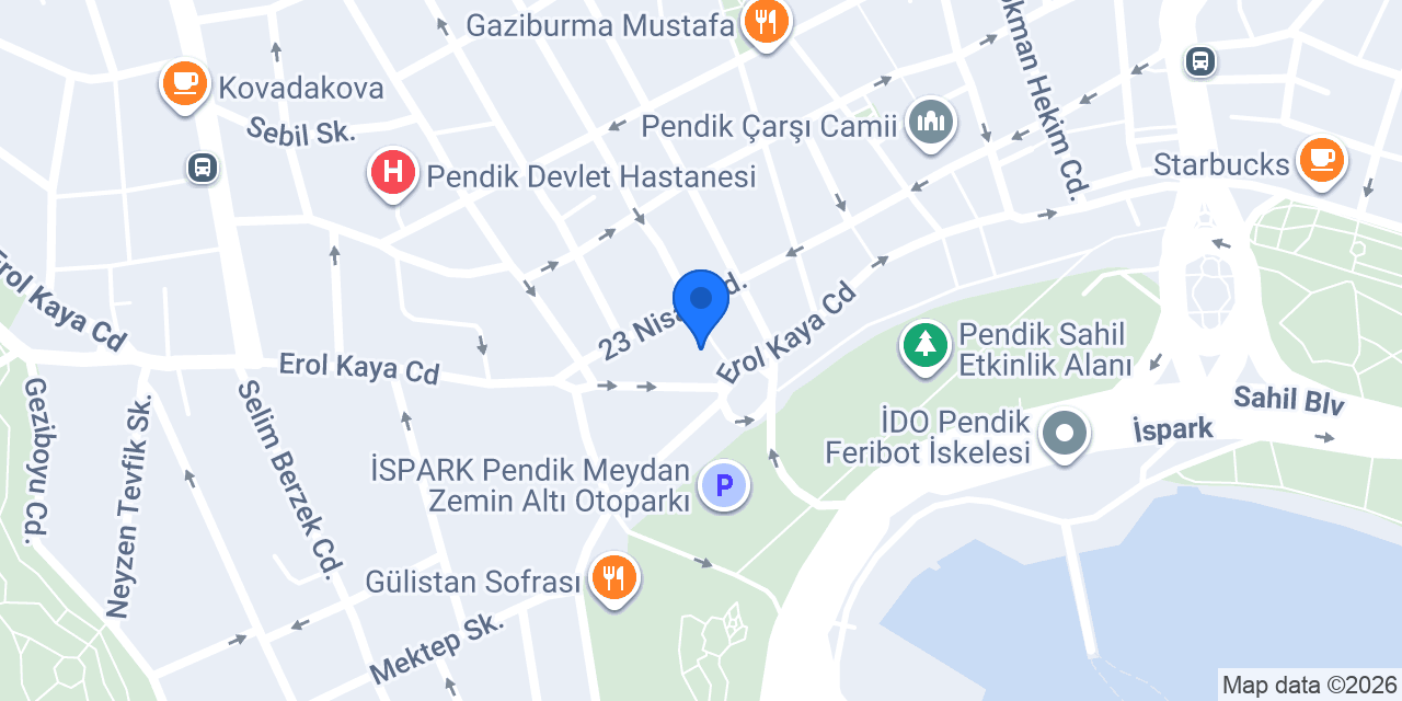 Harput Dibek Pendik konumu
