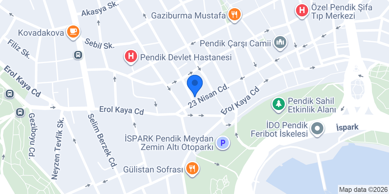 Nef Arsa Pendik konumu