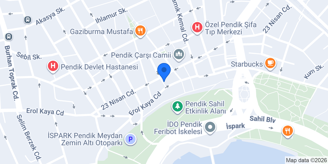Gri Papağan konumu