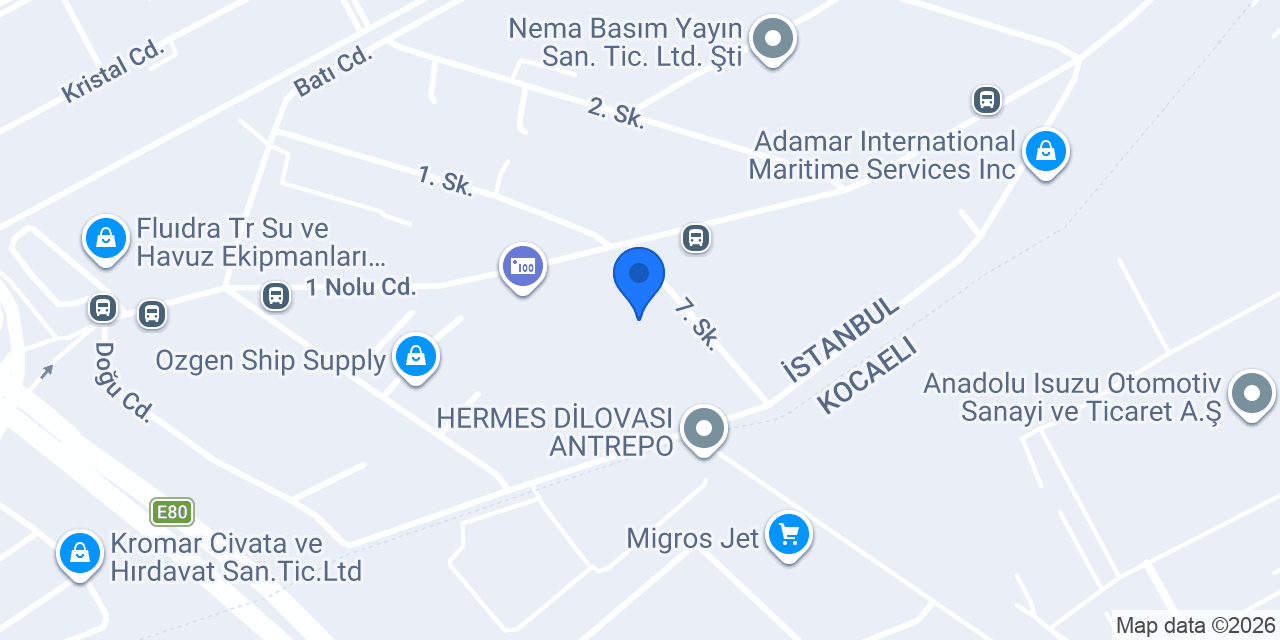 Iljin Electronic Turkey konumu