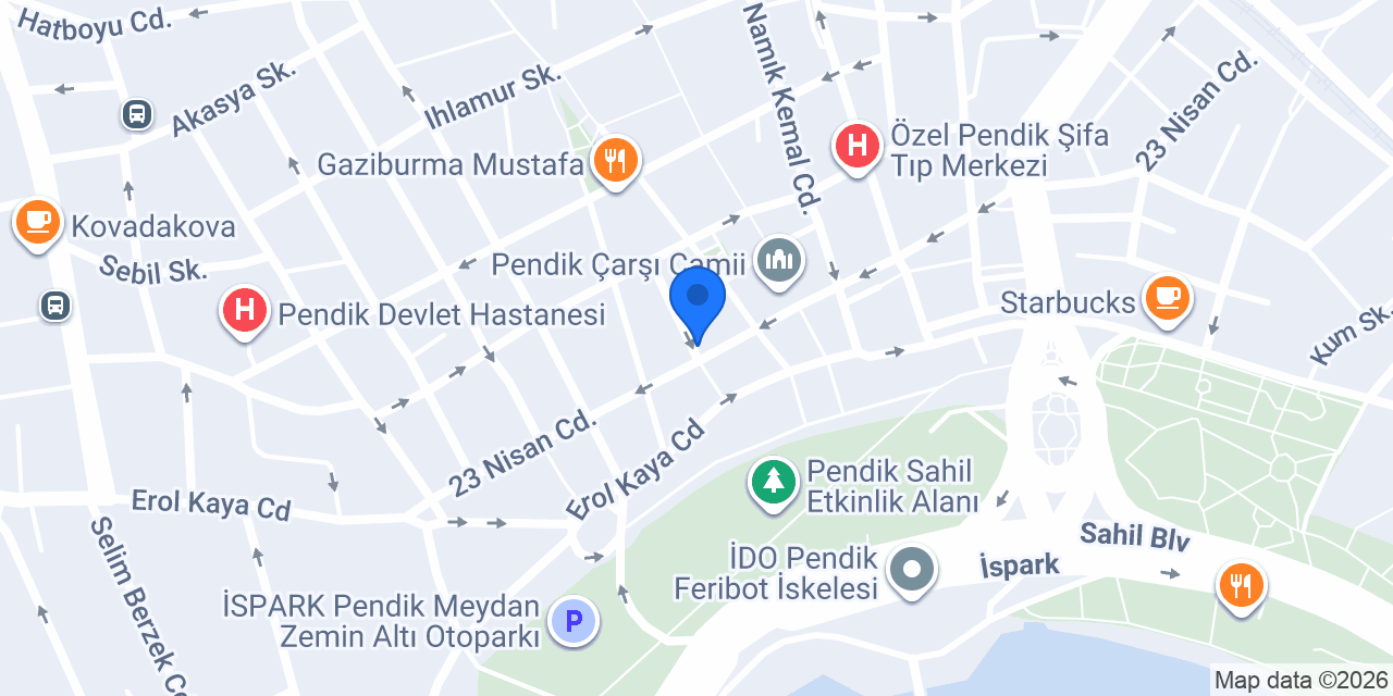 Pizza Amore Pendik konumu