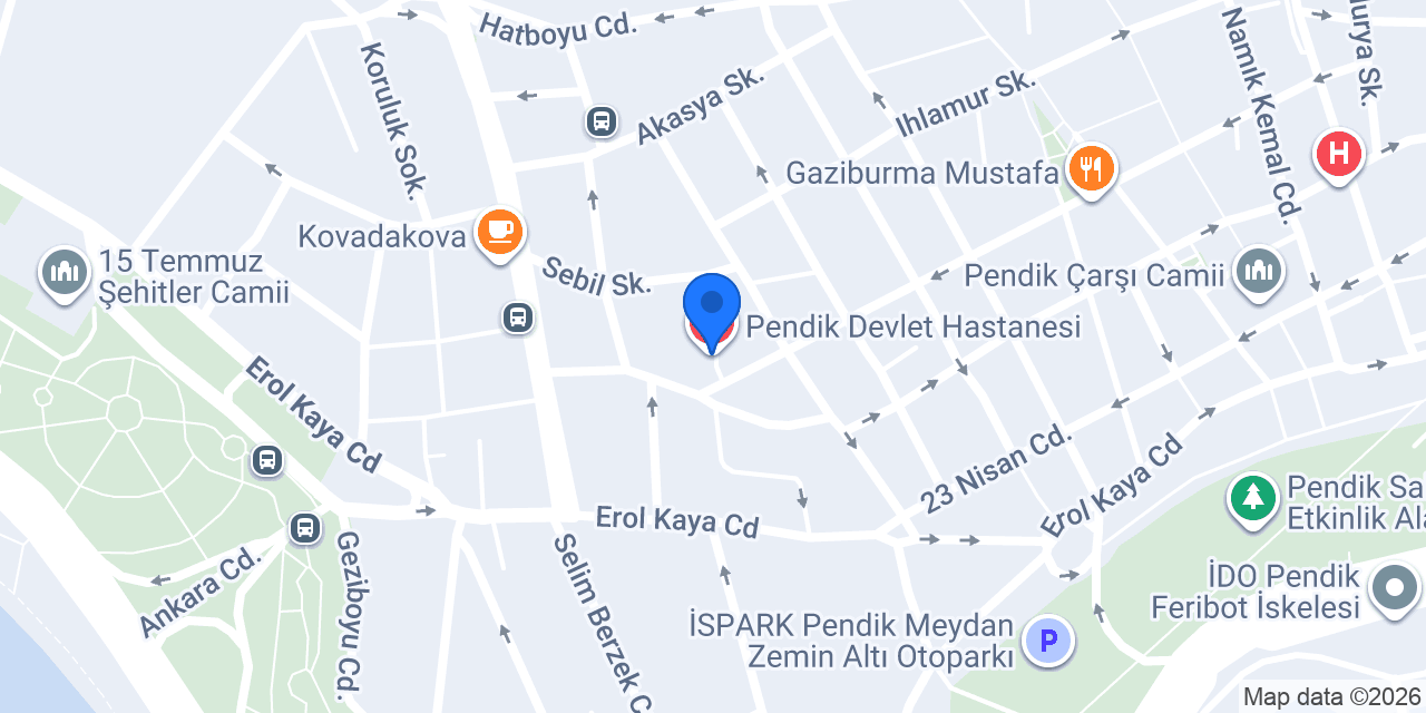 Pendik Devlet Hastanesi konumu