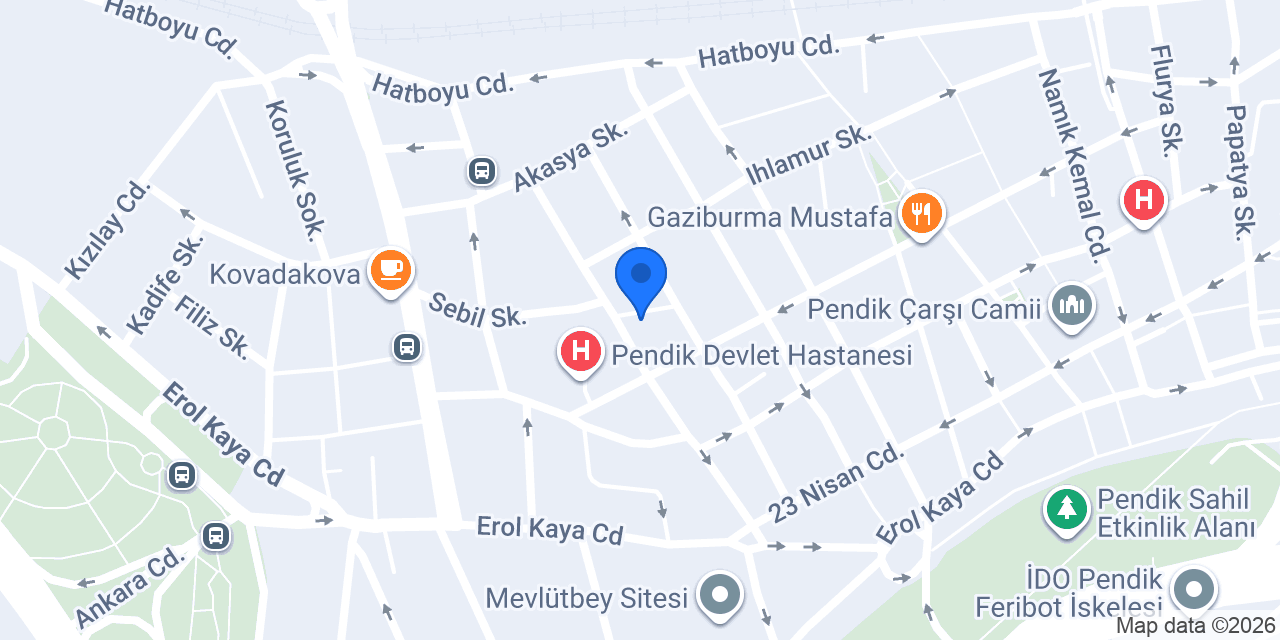 DİLAN POLAT PENDİK konumu