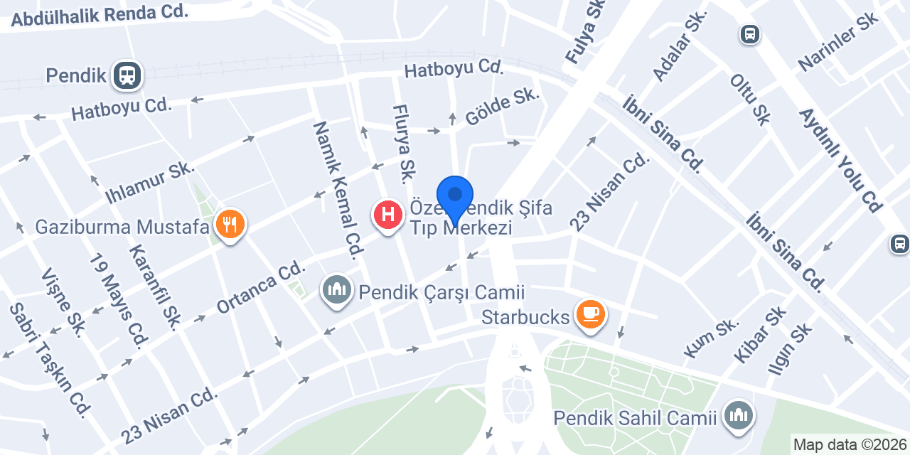 Pendik Bingöl il derneği konumu