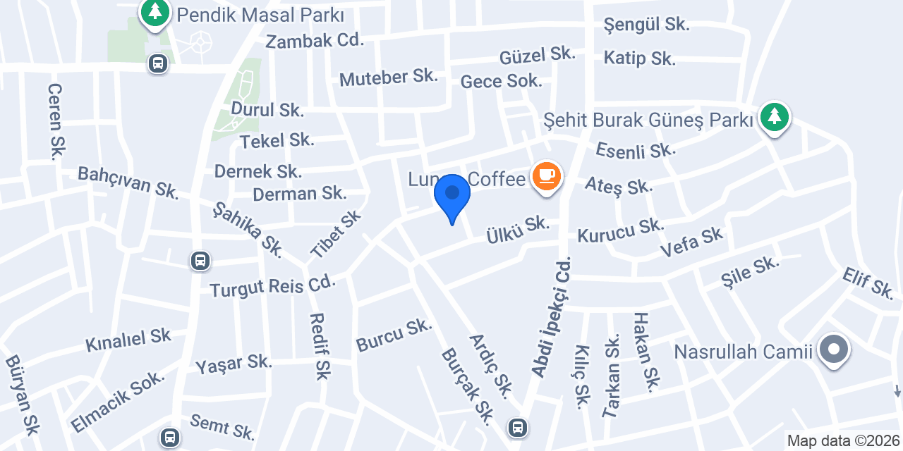 Cargox Pendik Şubesi konumu