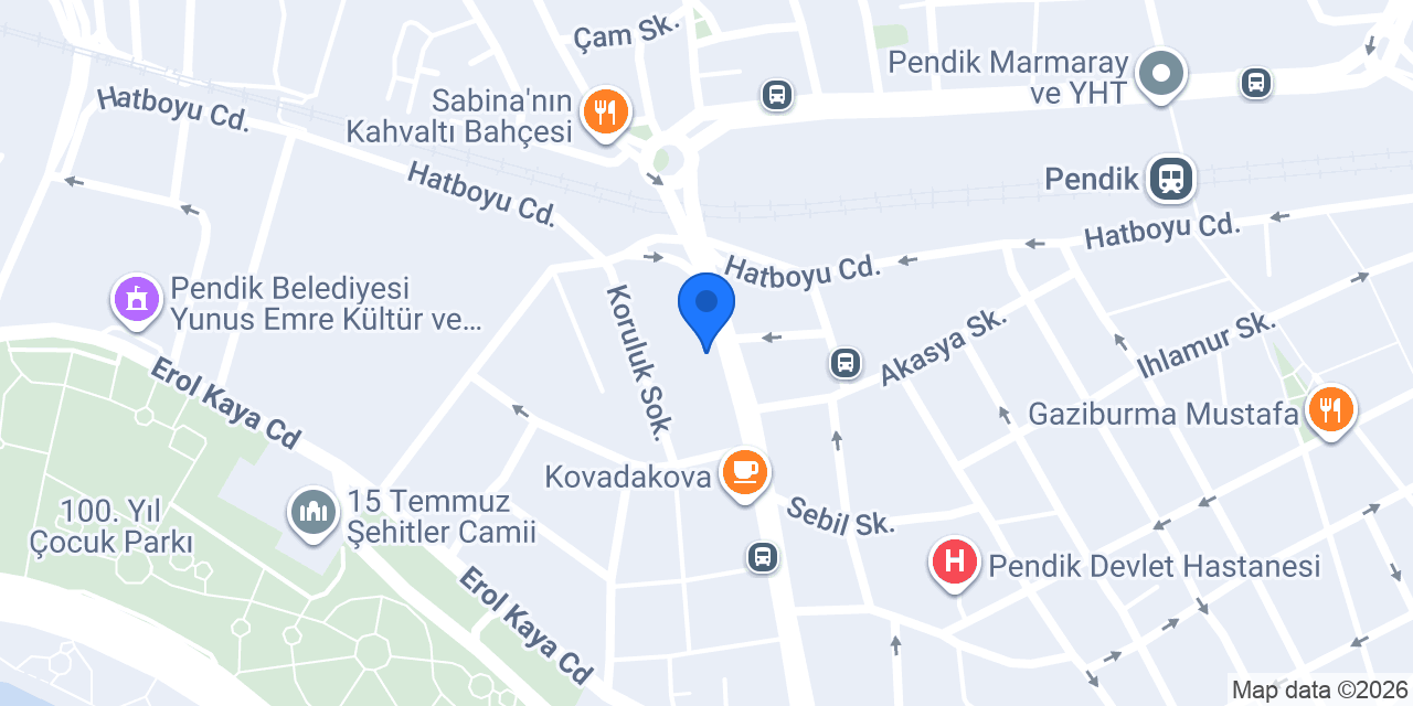 hızlı tespit pendik - asya teknik konumu