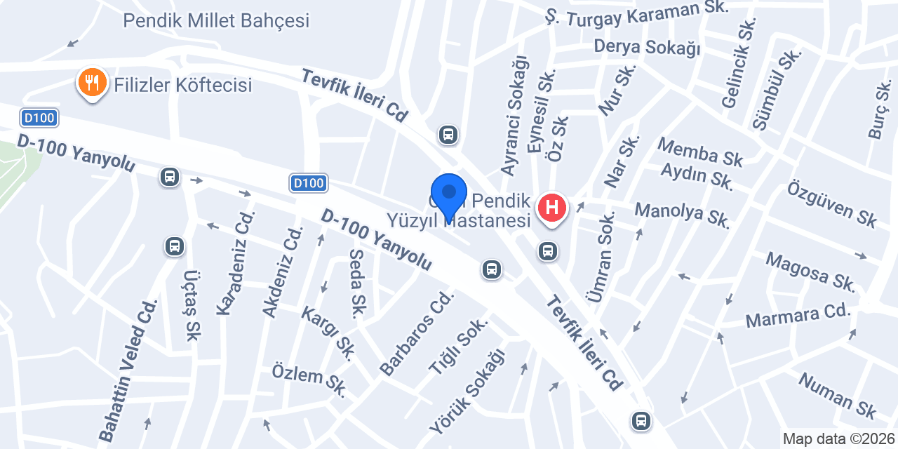 Pendik Hayvan Hastanesi konumu