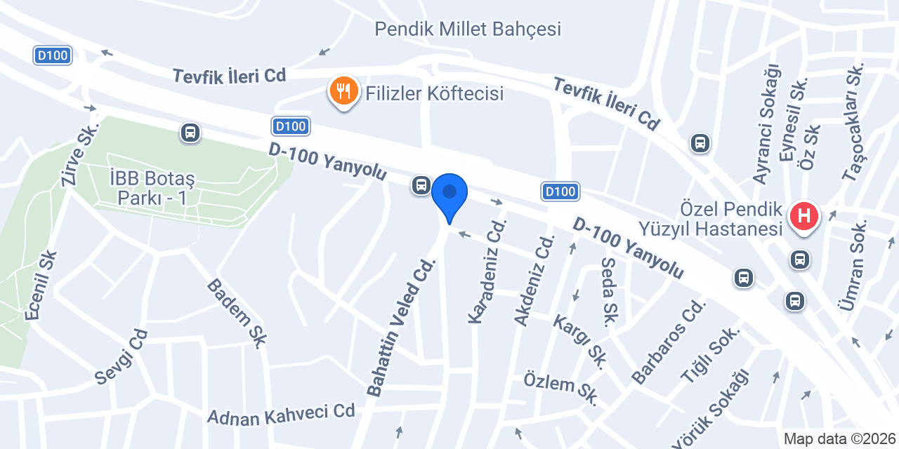 Aras Kargo Kaynarca Şubesi konumu