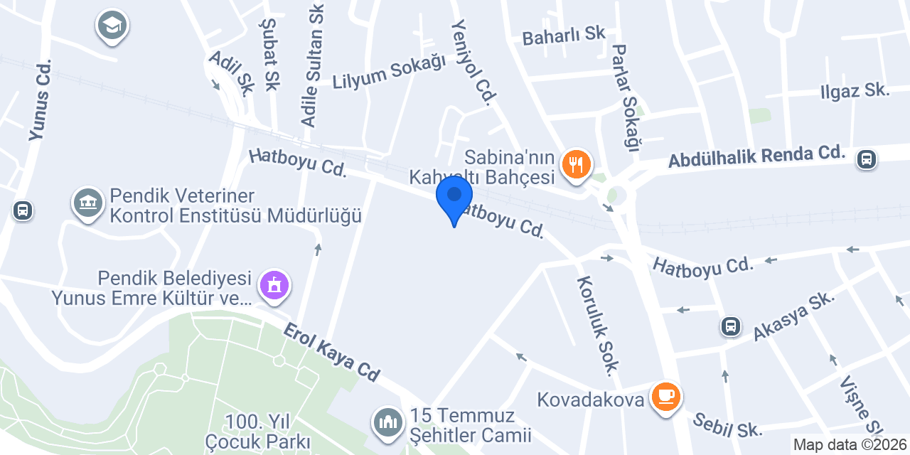 Pendik Anadolu Lisesi konumu