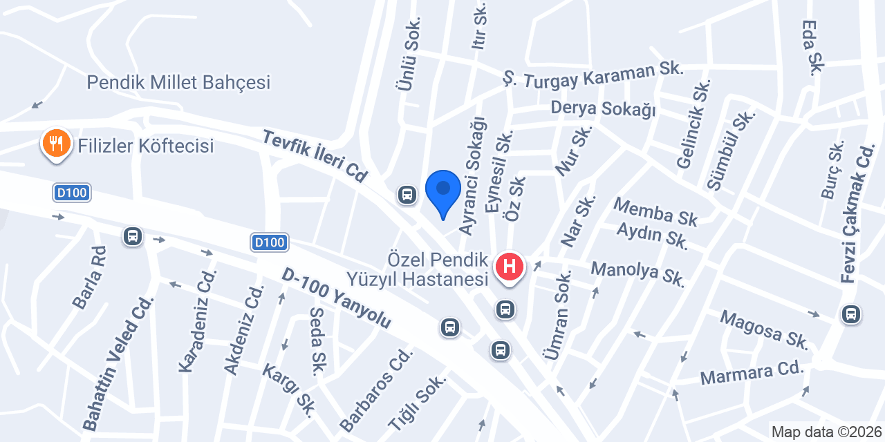 Eminevim Kaynarca Şube konumu