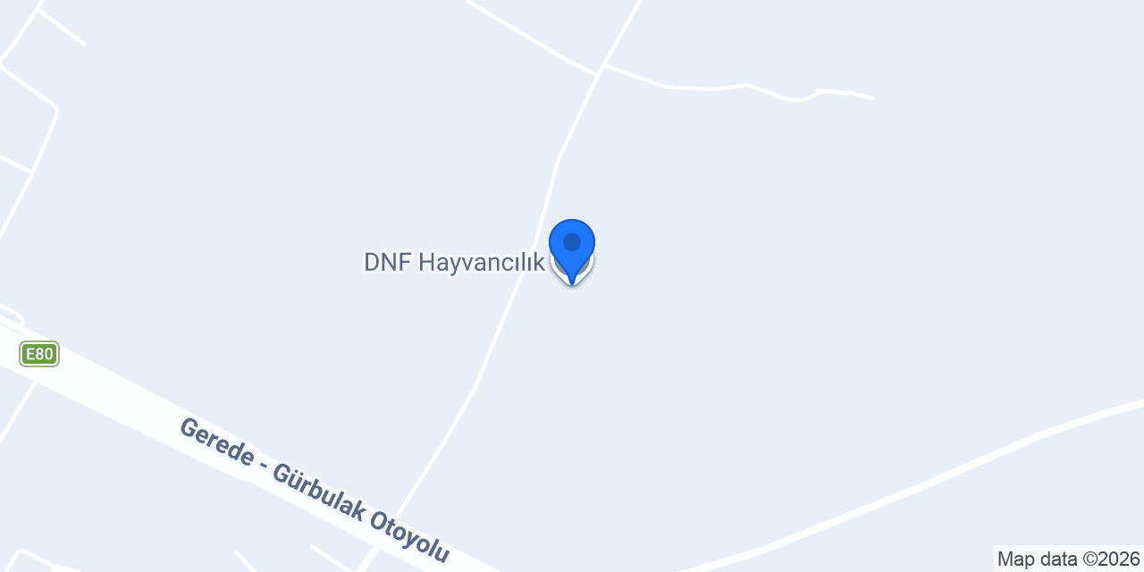 DNF Hayvancılık konumu