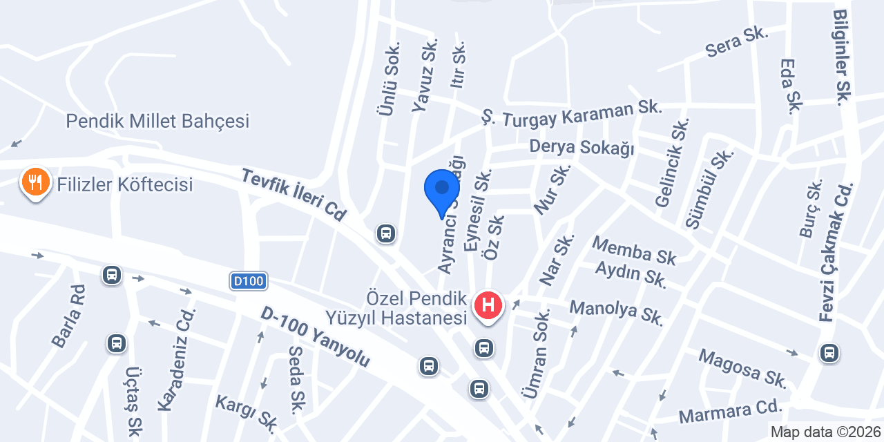 ÇINAR AĞACI HACAMAT konumu