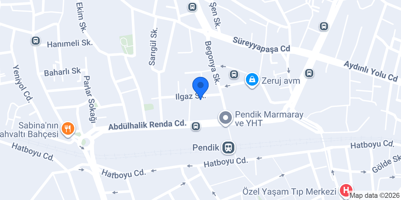 Domino's Pizza Pendik konumu