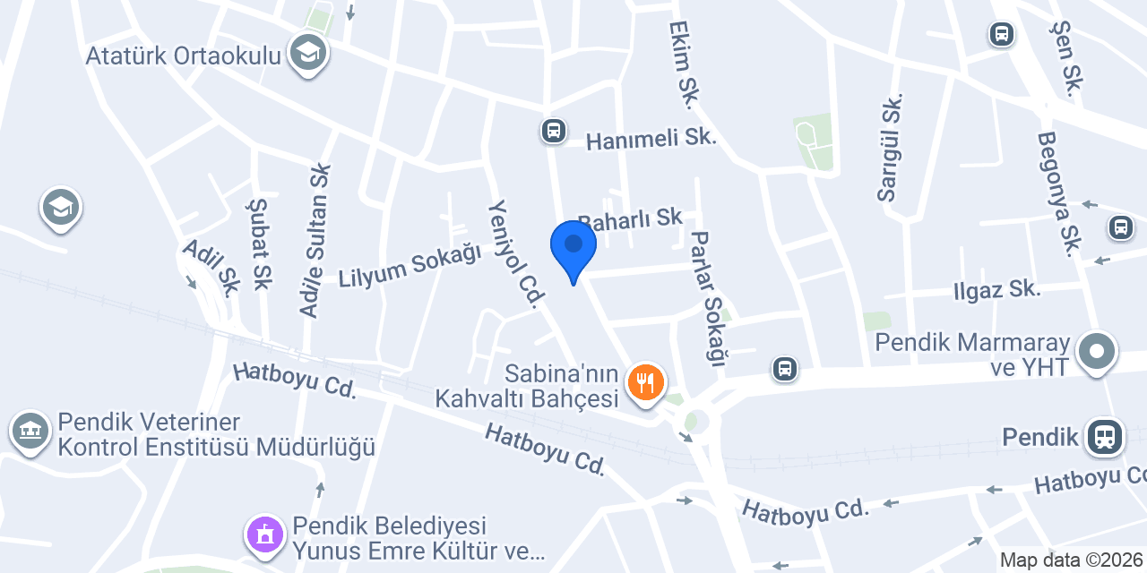 ÇINAR ELEKTRİK konumu