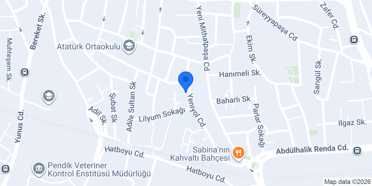 BAŞKAN SU PENDİK konumu