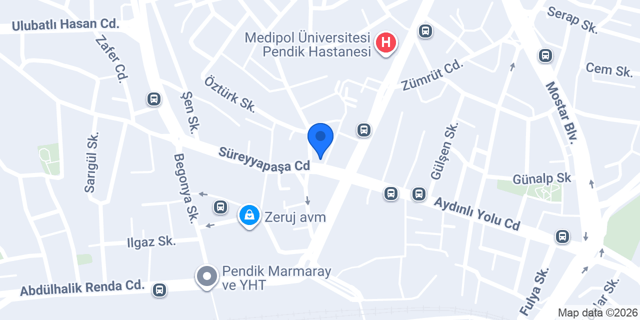 Ali Tezel - Pendik Şubesi konumu