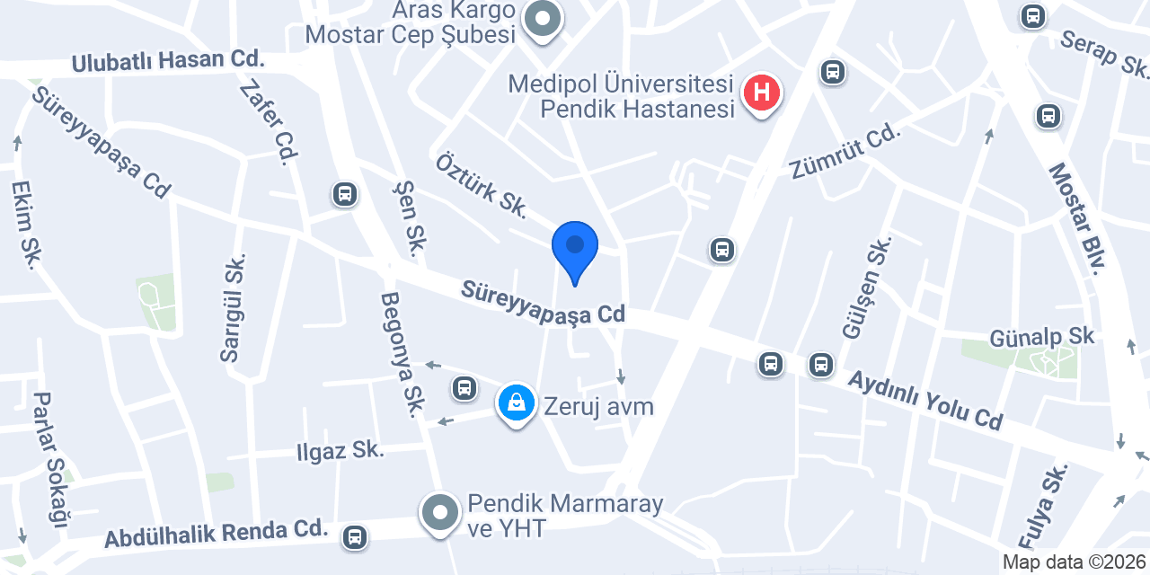 Pendik Taylan Anaokulu konumu