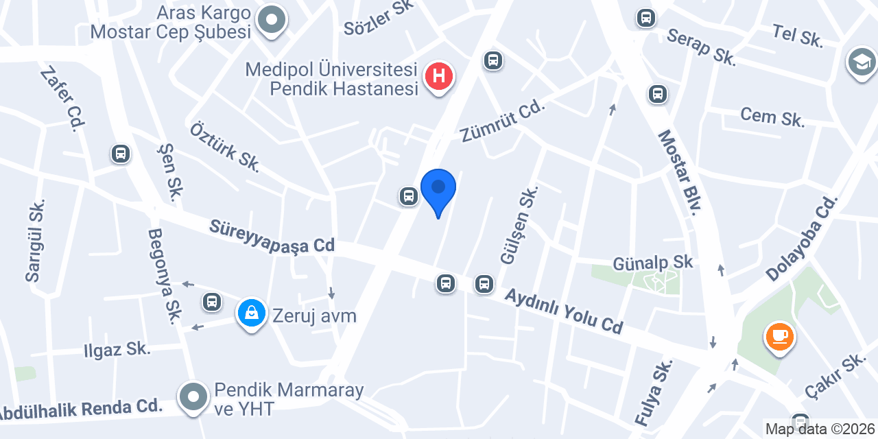 petscarnivalpendik konumu