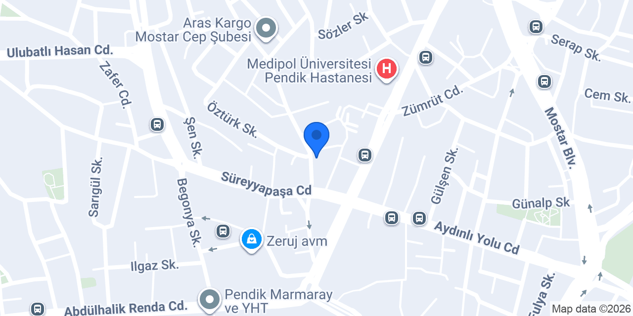 ERA Koleji Pendik Kampüsü konumu