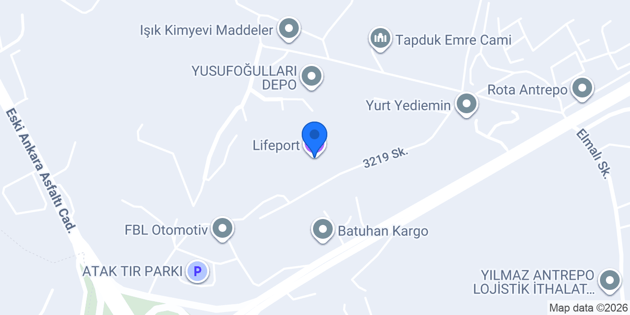 Lifeport konumu
