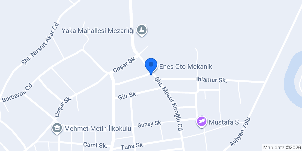 Moldhome konumu
