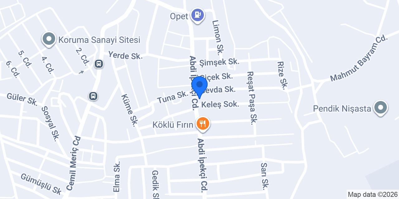 Japon pazarı konumu