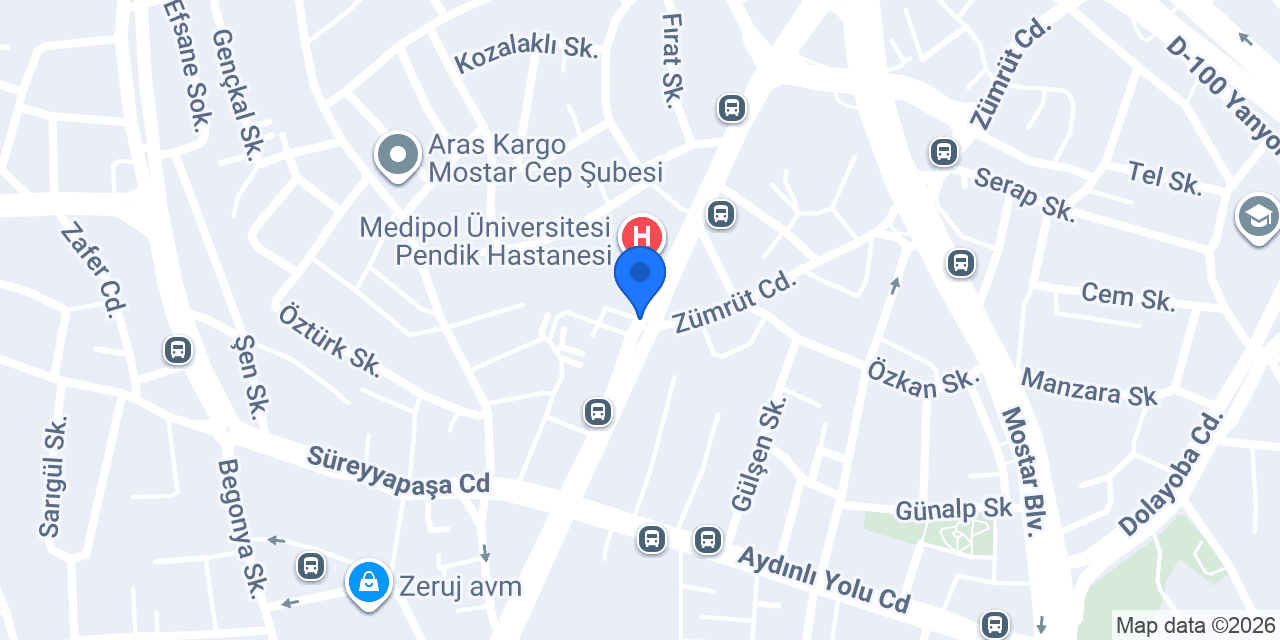 PENDİK AÇI KOLEJİ konumu