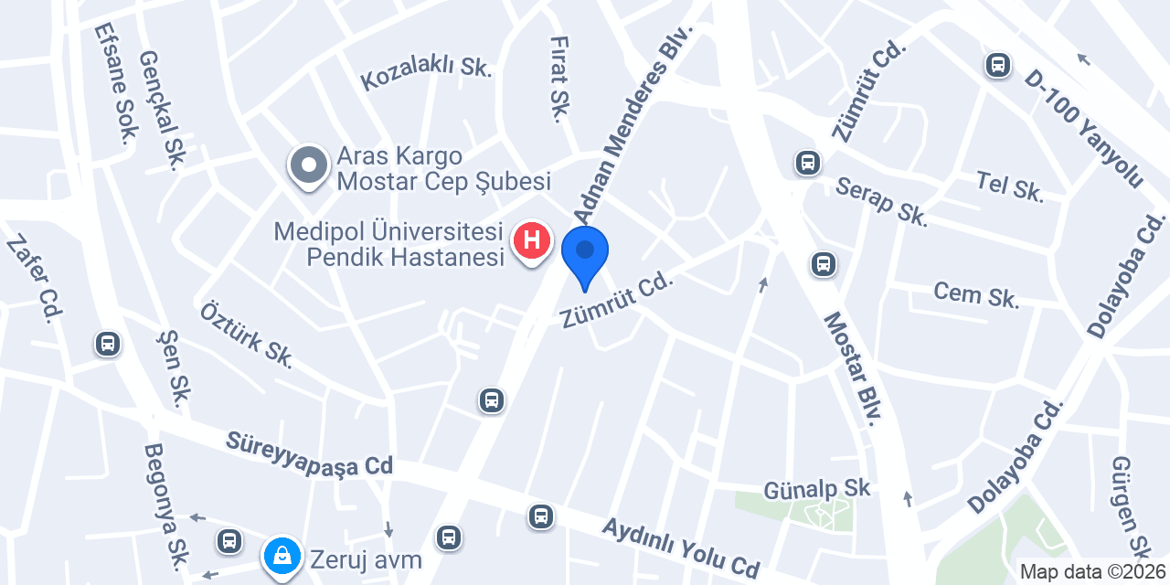 Nicea Turizm Rent a Vip Car konumu
