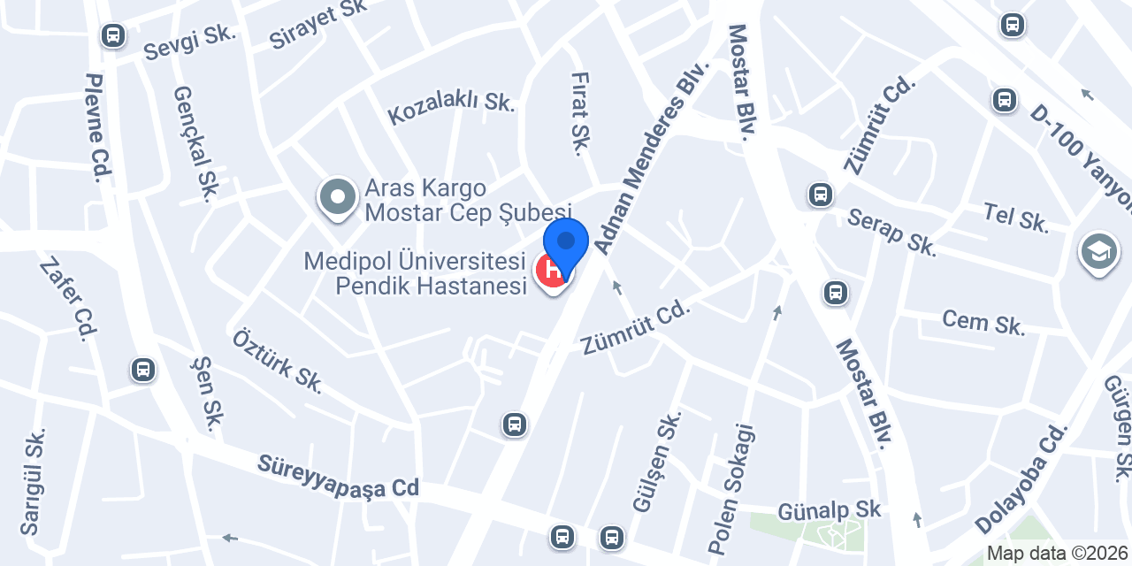 Dr. Öğr. Görevlisi İlker Pala konumu