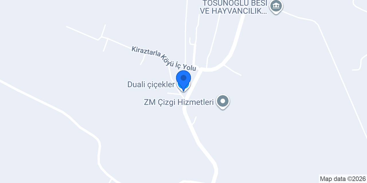 Duali çiçekler konumu
