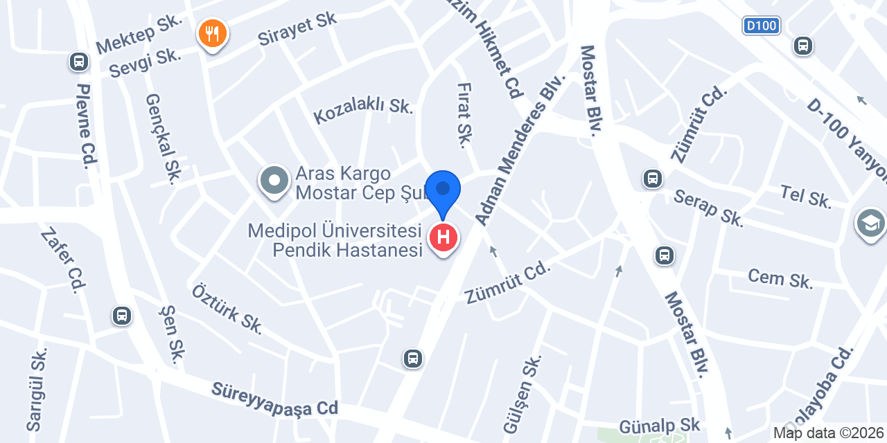 Lassa Asya Lastik konumu